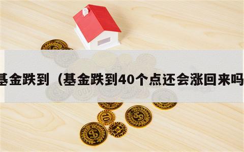 基金跌到（基金跌到40个点还会涨回来吗）