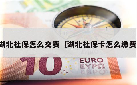 湖北社保怎么交费（湖北社保卡怎么缴费）