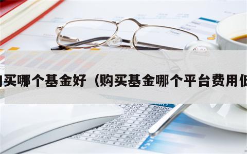 购买哪个基金好（购买基金哪个平台费用低）