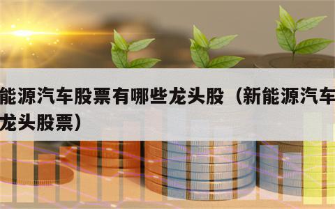 新能源汽车股票有哪些龙头股（新能源汽车行业龙头股票）