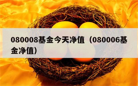 080008基金今天净值（080006基金净值）