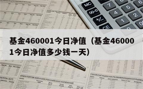 基金460001今日净值（基金460001今日净值多少钱一天）
