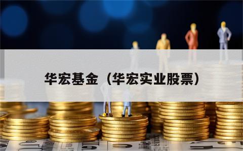 华宏基金（华宏实业股票）