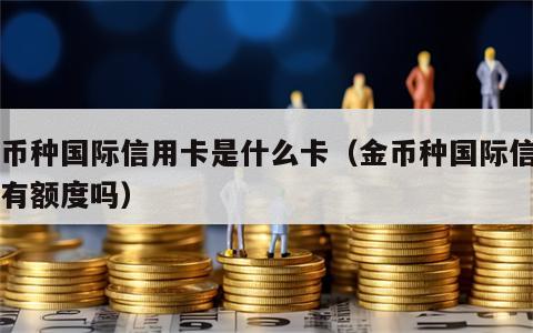 金币种国际信用卡是什么卡（金币种国际信用卡有额度吗）