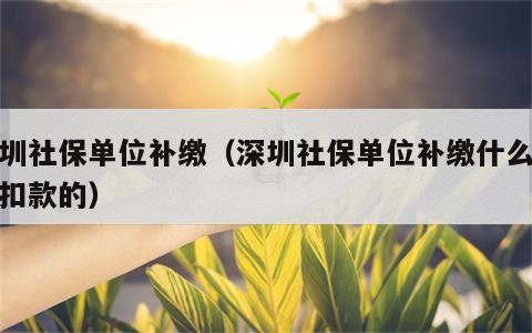 深圳社保单位补缴（深圳社保单位补缴什么时候扣款的）