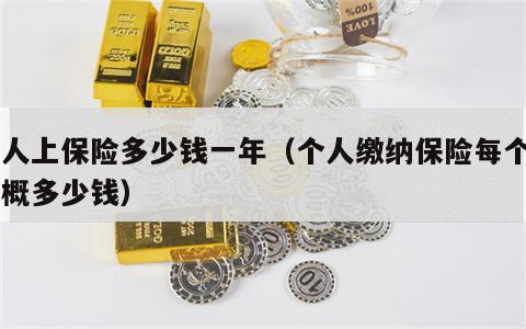 个人上保险多少钱一年（个人缴纳保险每个月大概多少钱）