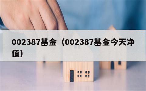 002387基金（002387基金今天净值）
