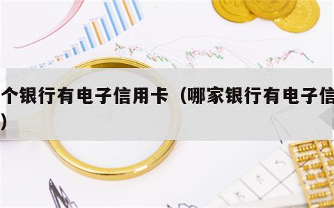 哪个银行有电子信用卡（哪家银行有电子信用卡）