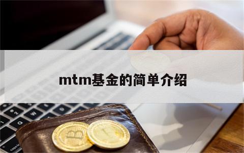 mtm基金的简单介绍