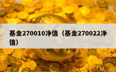 基金270010净值（基金270022净值）