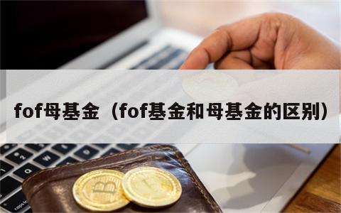 fof母基金（fof基金和母基金的区别）