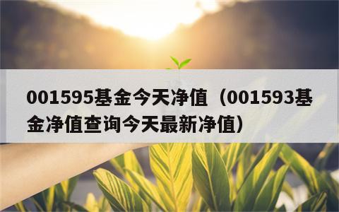 001595基金今天净值（001593基金净值查询今天最新净值）