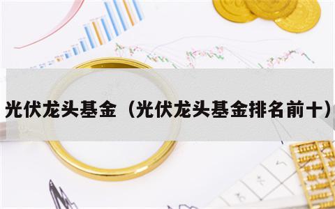光伏龙头基金（光伏龙头基金排名前十）