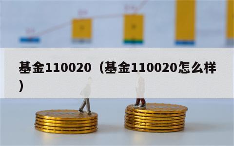 基金110020（基金110020怎么样）