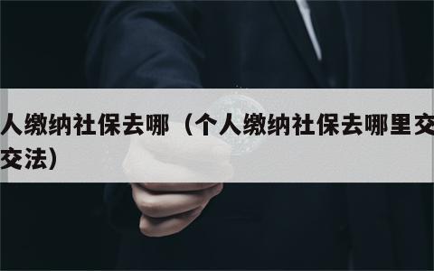 个人缴纳社保去哪（个人缴纳社保去哪里交怎么交法）