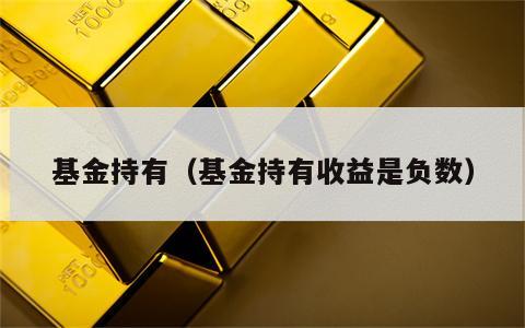 基金持有（基金持有收益是负数）