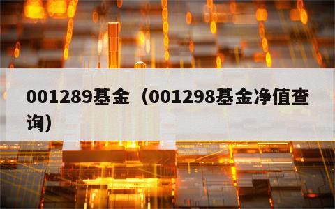 001289基金（001298基金净值查询）