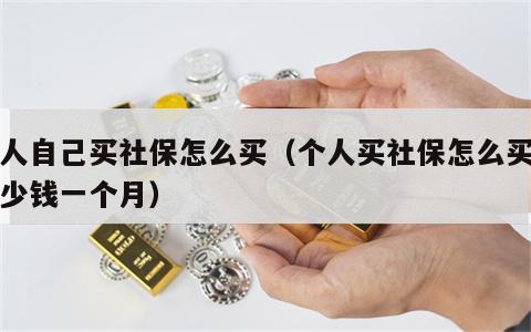个人自己买社保怎么买（个人买社保怎么买要多少钱一个月）