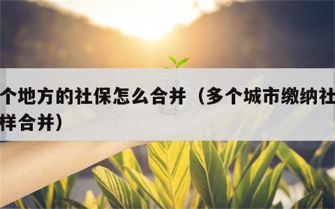 几个地方的社保怎么合并（多个城市缴纳社保怎样合并）