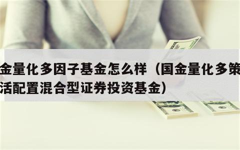 国金量化多因子基金怎么样（国金量化多策略灵活配置混合型证券投资基金）