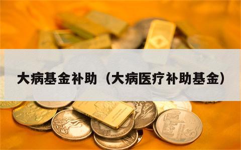 大病基金补助（大病医疗补助基金）