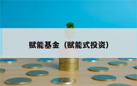 赋能基金（赋能式投资）