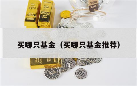 买哪只基金（买哪只基金推荐）