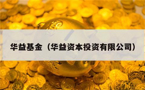 华益基金（华益资本投资有限公司）