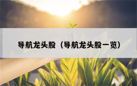 导航龙头股（导航龙头股一览）