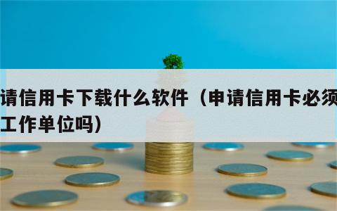 申请信用卡下载什么软件（申请信用卡必须要有工作单位吗）