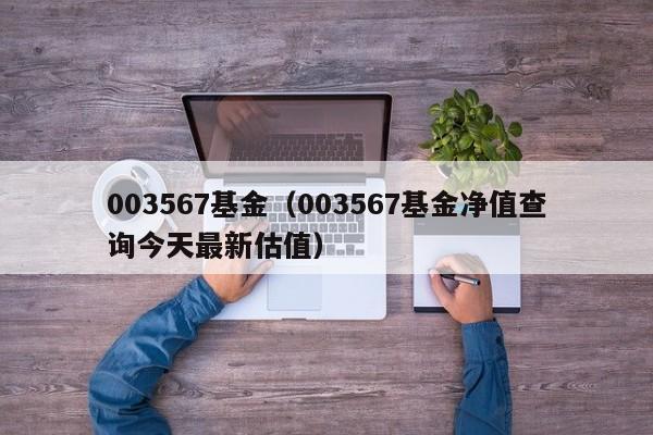 003567基金（003567基金净值查询今天最新估值）