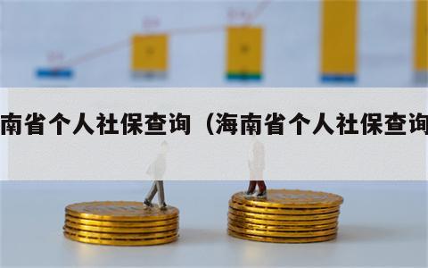 海南省个人社保查询（海南省个人社保查询网）