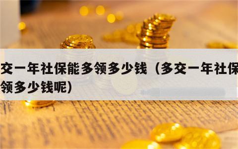 多交一年社保能多领多少钱（多交一年社保能多领多少钱呢）