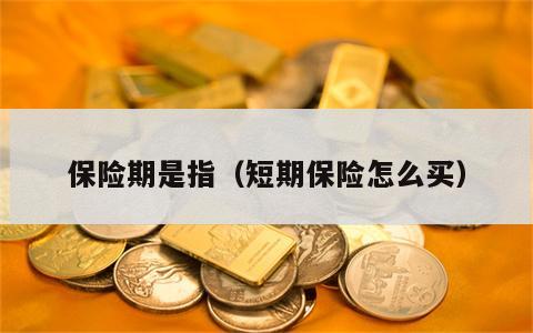 保险期是指（短期保险怎么买）