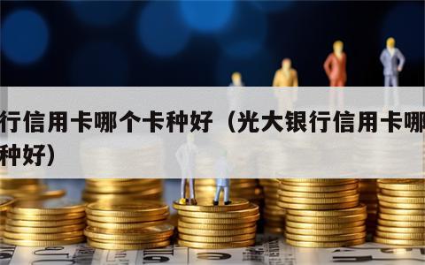 银行信用卡哪个卡种好（光大银行信用卡哪个卡种好）