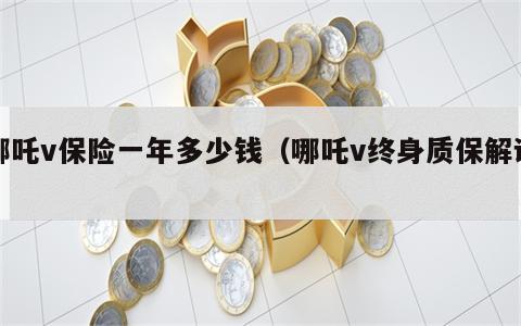 哪吒v保险一年多少钱（哪吒v终身质保解读）