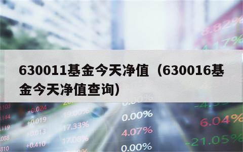 630011基金今天净值（630016基金今天净值查询）