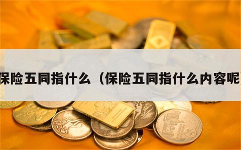 保险五同指什么（保险五同指什么内容呢）