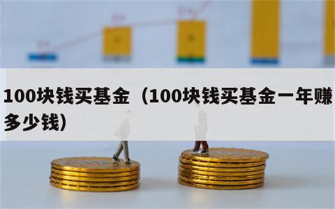 100块钱买基金（100块钱买基金一年赚多少钱）