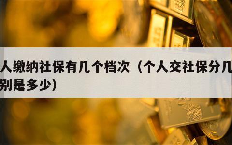 个人缴纳社保有几个档次（个人交社保分几档分别是多少）