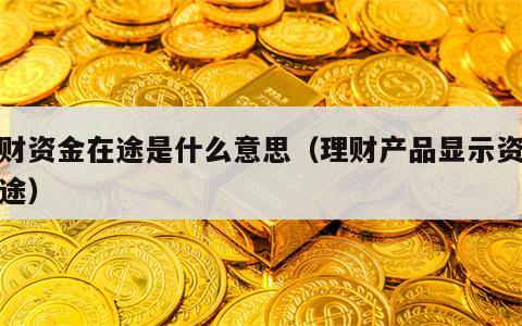 理财资金在途是什么意思（理财产品显示资金在途）