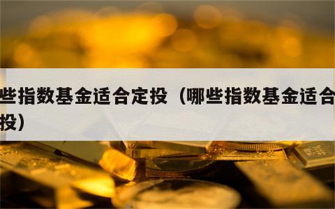 那些指数基金适合定投（哪些指数基金适合做定投）