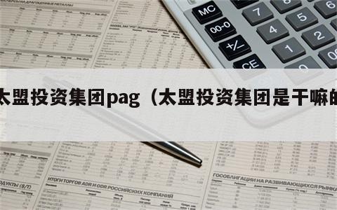 太盟投资集团pag（太盟投资集团是干嘛的）