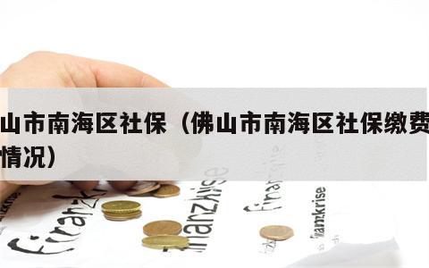 佛山市南海区社保（佛山市南海区社保缴费标准情况）