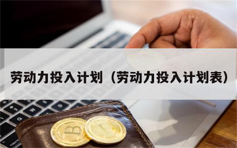 劳动力投入计划（劳动力投入计划表）