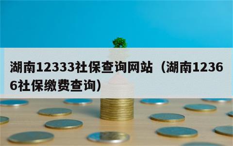 湖南12333社保查询网站（湖南12366社保缴费查询）