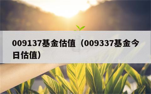 009137基金估值（009337基金今日估值）