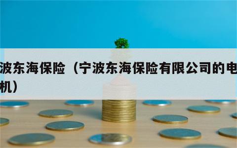 宁波东海保险（宁波东海保险有限公司的电话座机）
