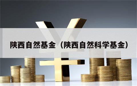 陕西自然基金（陕西自然科学基金）