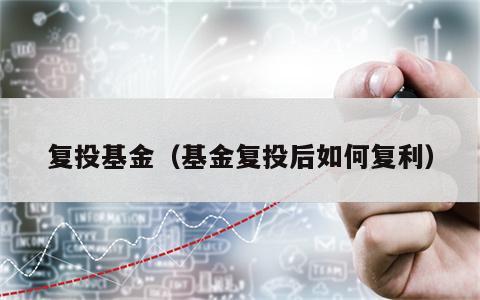 复投基金（基金复投后如何复利）